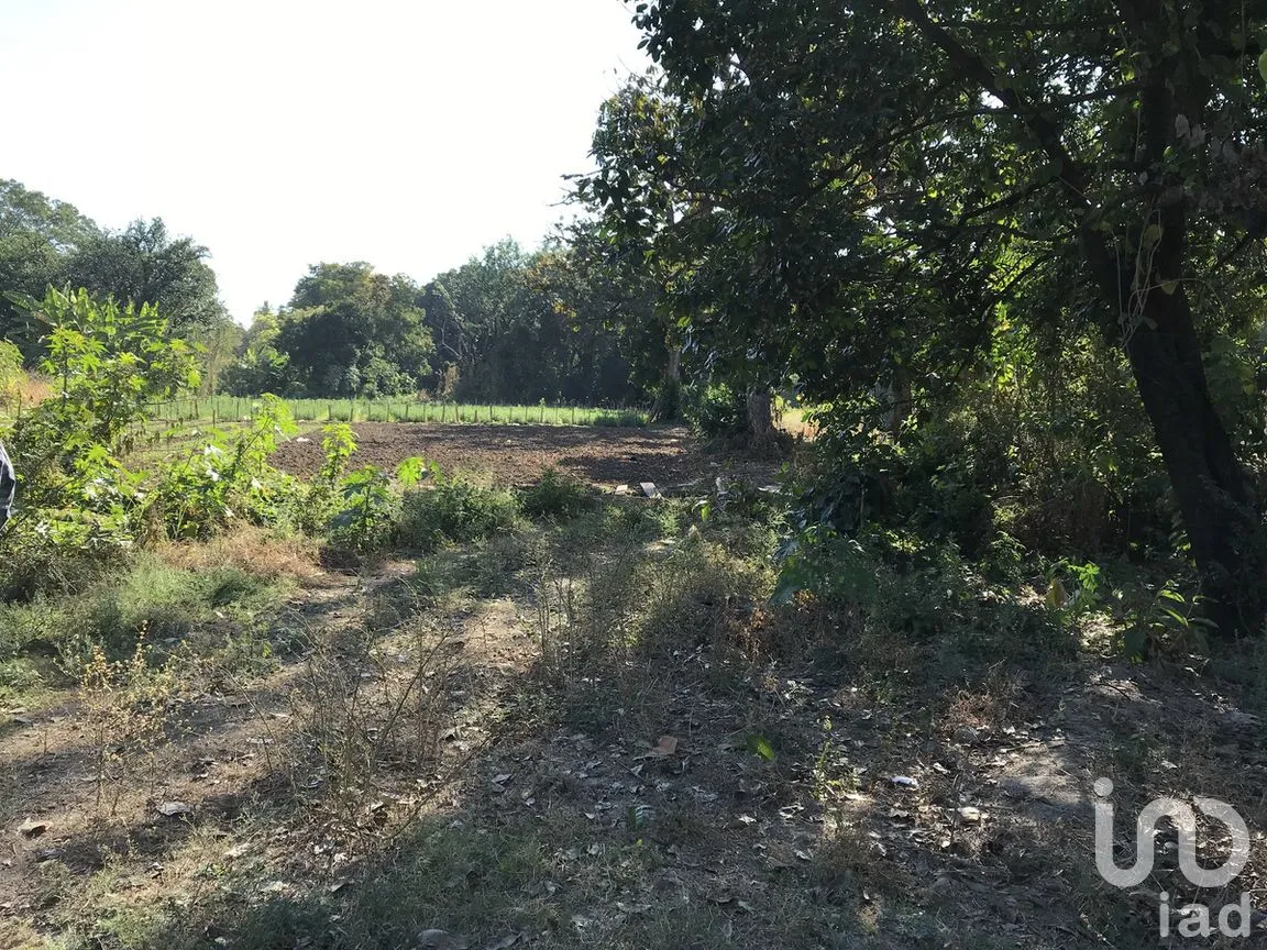 Terreno en Venta en Tetecala, Tetecala, Morelos | NEX-270017 | iad México | Foto 7 de 32