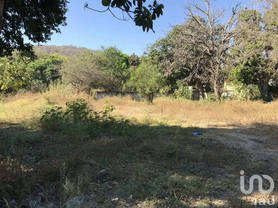 Terreno en Venta en Tetecala, Tetecala, Morelos | NEX-270017 | iad México | Foto 8 de 32