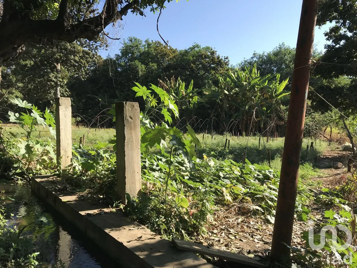 Terreno en Venta en Tetecala, Tetecala, Morelos | NEX-270017 | iad México | Foto 9 de 32