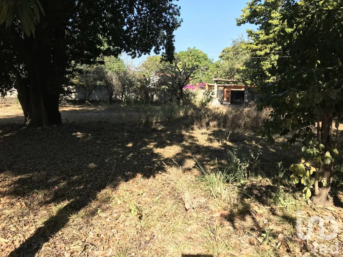Terreno en Venta en Tetecala, Tetecala, Morelos | NEX-270017 | iad México | Foto 10 de 32