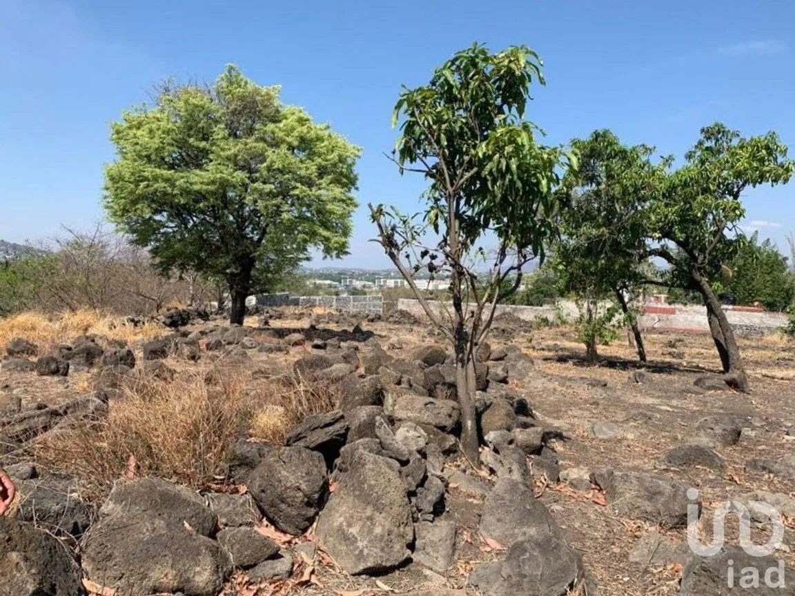 Terreno en Venta en Benito Juárez, Emiliano Zapata, Morelos | NEX-271257 | iad México | Foto 11 de 19