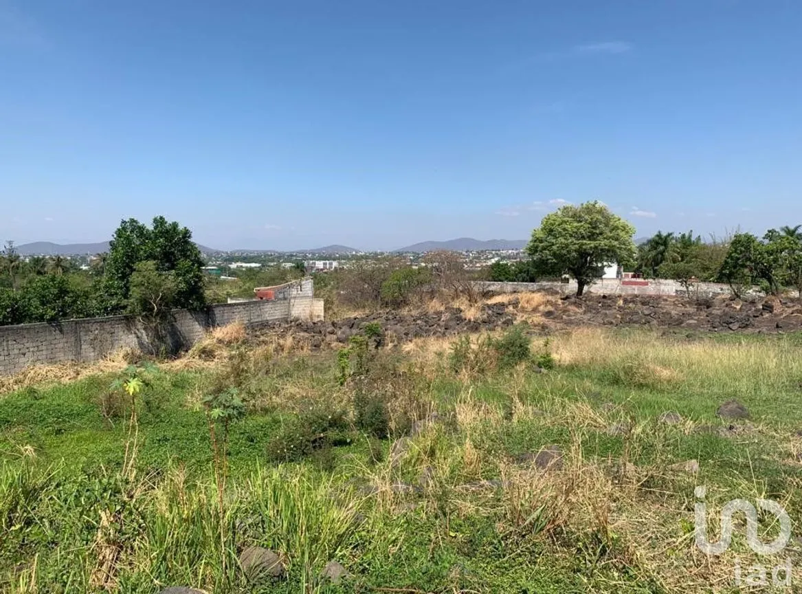 Terreno en Venta en Benito Juárez, Emiliano Zapata, Morelos | NEX-271257 | iad México | Foto 12 de 19