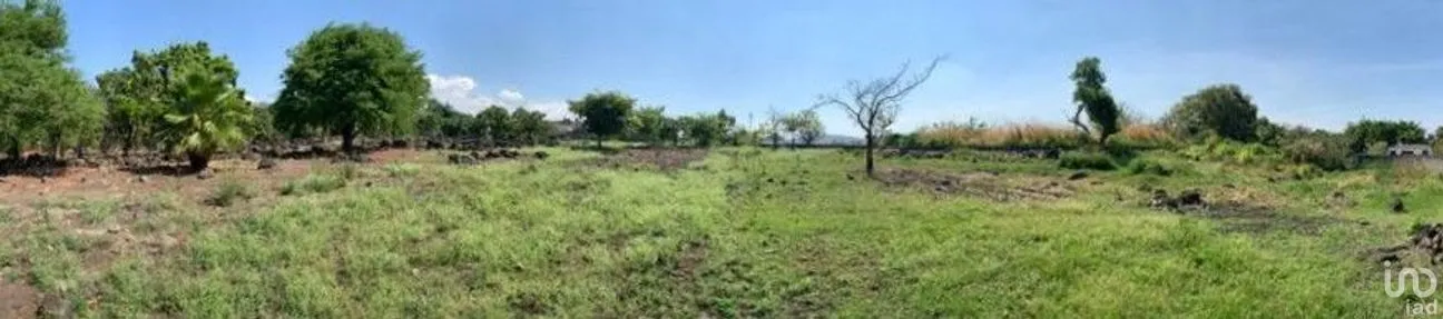 Terreno en Venta en Benito Juárez, Emiliano Zapata, Morelos | NEX-271257 | iad México | Foto 13 de 19