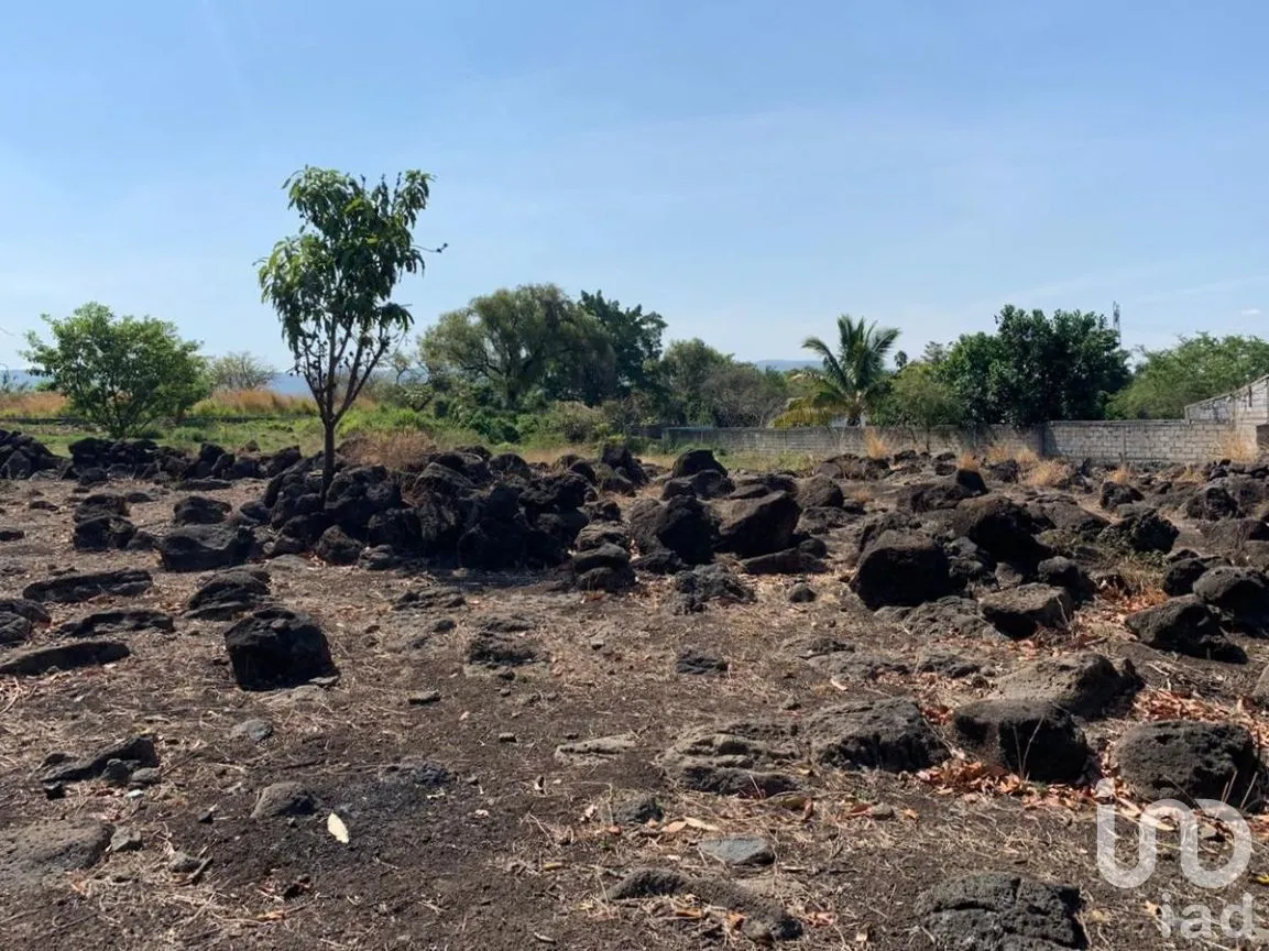 Terreno en Venta en Benito Juárez, Emiliano Zapata, Morelos | NEX-271257 | iad México | Foto 14 de 19
