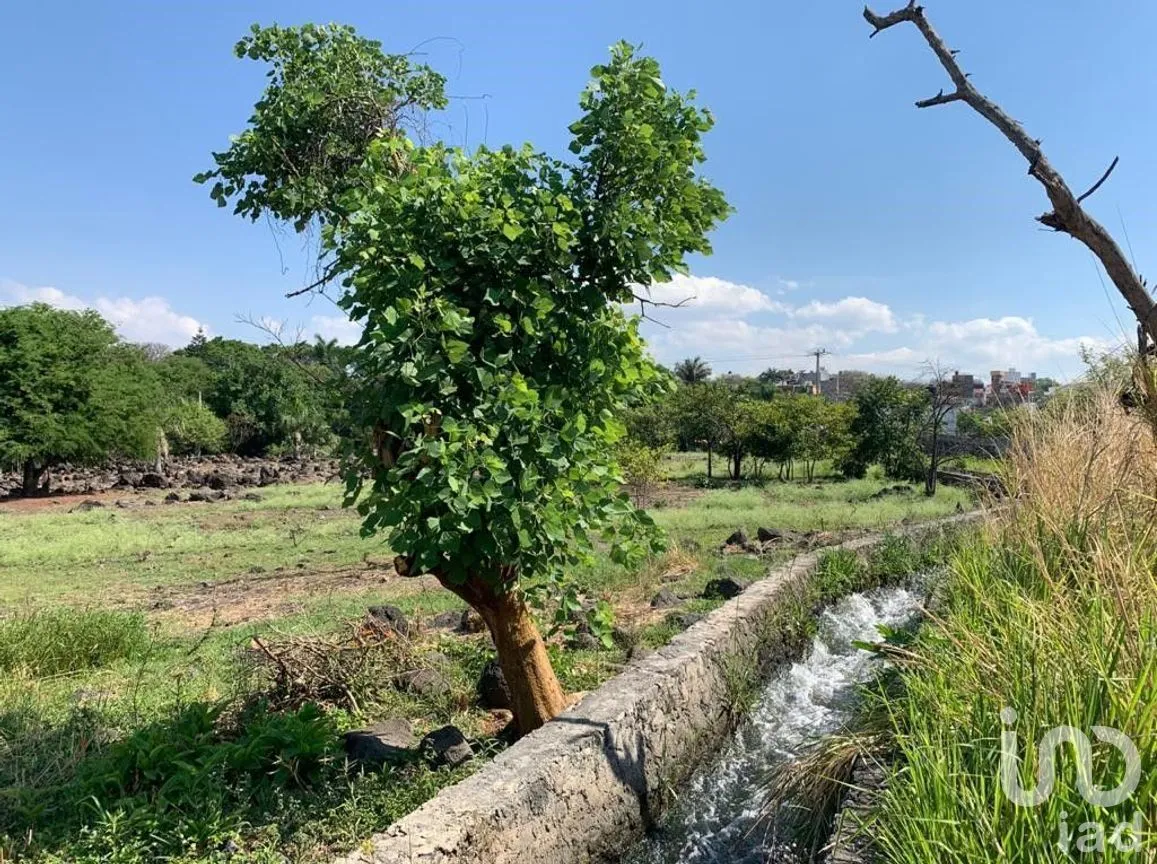 Terreno en Venta en Benito Juárez, Emiliano Zapata, Morelos | NEX-271257 | iad México | Foto 15 de 19