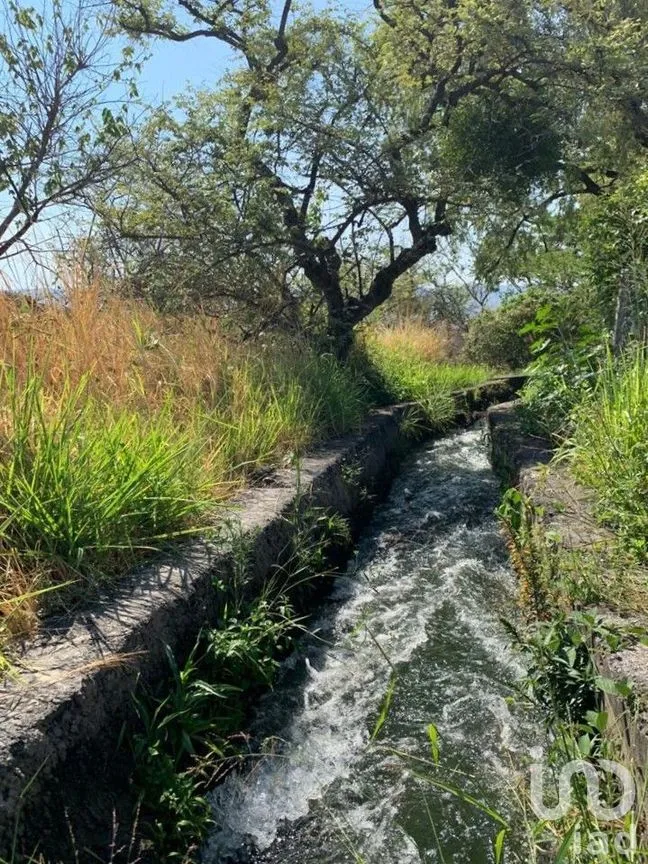 Terreno en Venta en Benito Juárez, Emiliano Zapata, Morelos | NEX-271257 | iad México | Foto 16 de 19