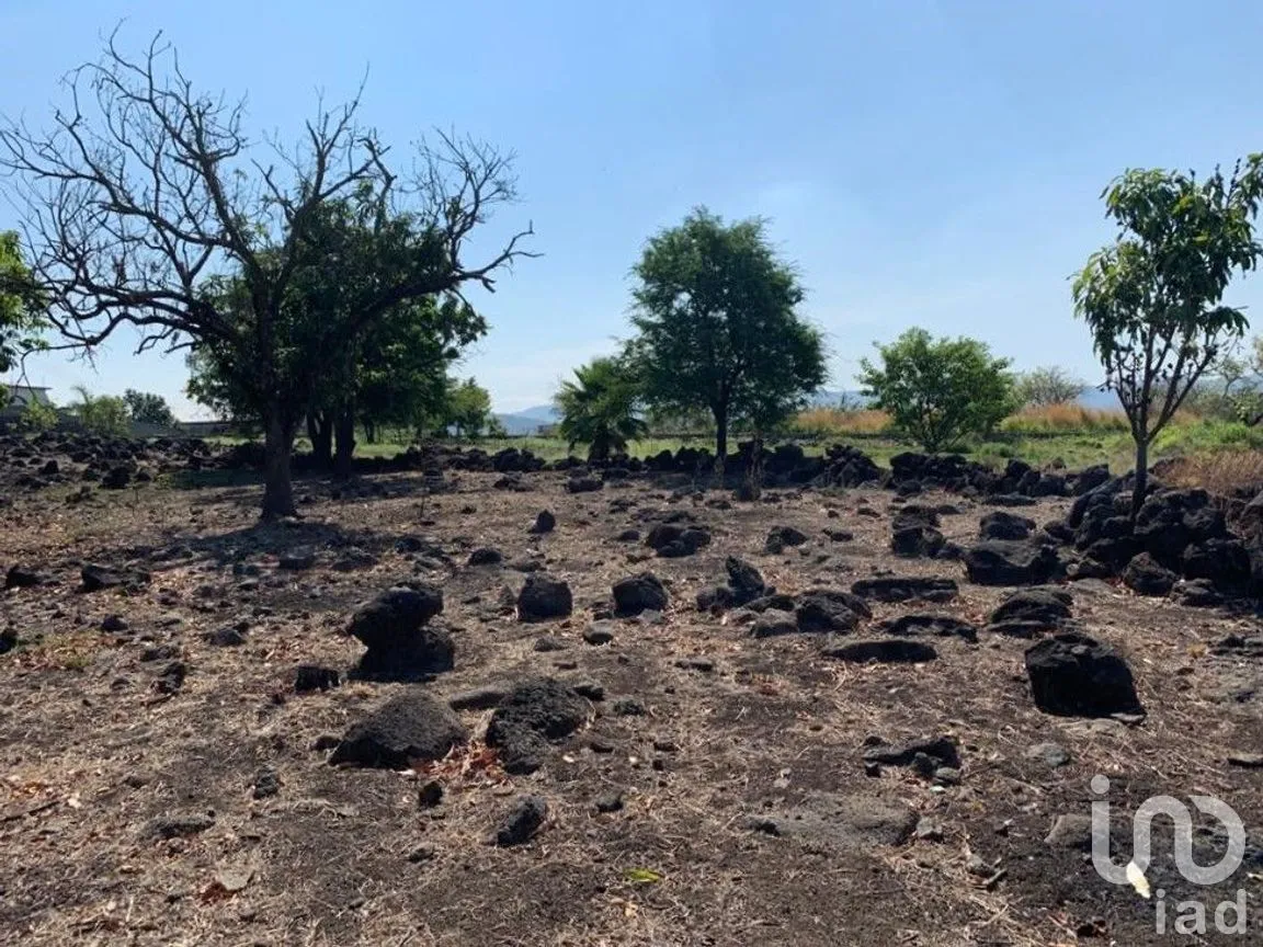 Terreno en Venta en Benito Juárez, Emiliano Zapata, Morelos | NEX-271257 | iad México | Foto 17 de 19