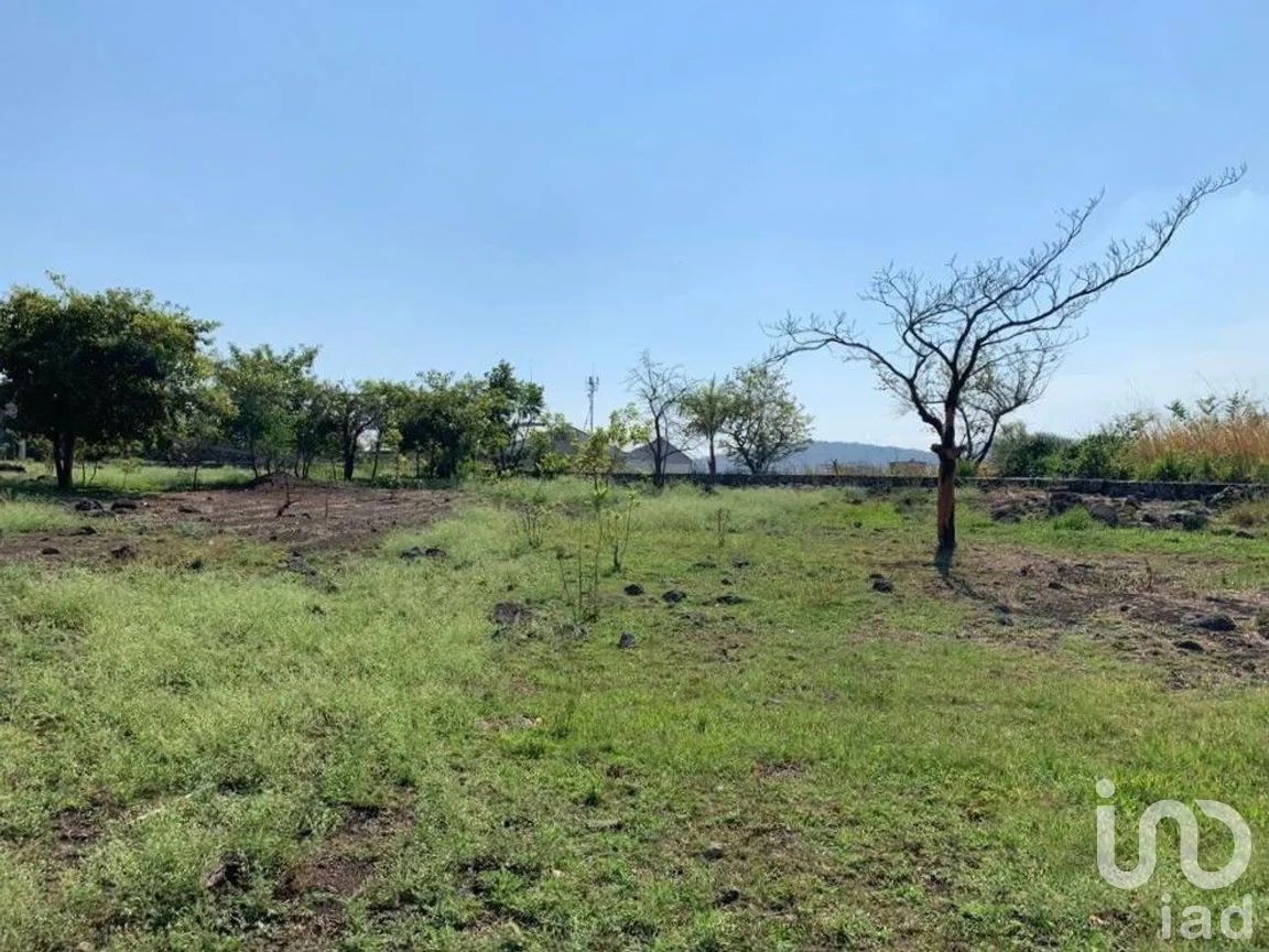 Terreno en Venta en Benito Juárez, Emiliano Zapata, Morelos | NEX-271257 | iad México | Foto 18 de 19