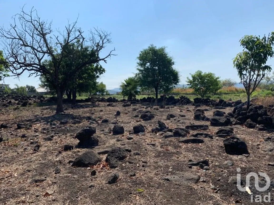 Terreno en Venta en Benito Juárez, Emiliano Zapata, Morelos | NEX-271257 | iad México | Foto 19 de 19