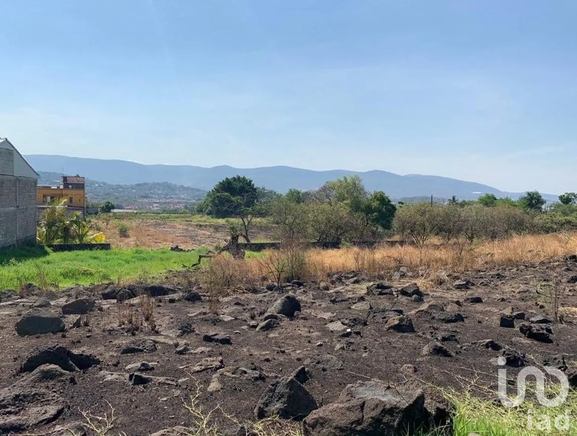 Terreno en Venta en Benito Juárez, Emiliano Zapata, Morelos | NEX-271257 | iad México | Foto 4 de 19