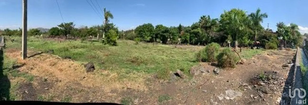 Terreno en Venta en Benito Juárez, Emiliano Zapata, Morelos | NEX-271257 | iad México | Foto 5 de 19