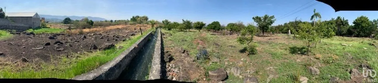 Terreno en Venta en Benito Juárez, Emiliano Zapata, Morelos | NEX-271257 | iad México | Foto 7 de 19