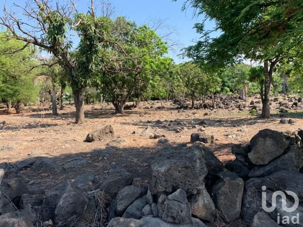 Terreno en Venta en Benito Juárez, Emiliano Zapata, Morelos | NEX-271257 | iad México | Foto 8 de 19