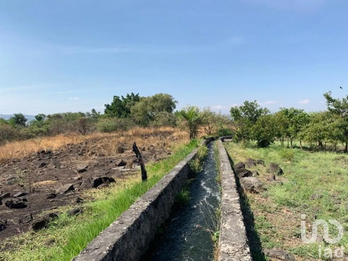 Terreno en Venta en Benito Juárez, Emiliano Zapata, Morelos | NEX-271257 | iad México | Foto 9 de 19