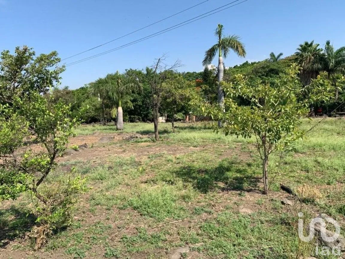 Terreno en Venta en Benito Juárez, Emiliano Zapata, Morelos | NEX-271257 | iad México | Foto 10 de 19
