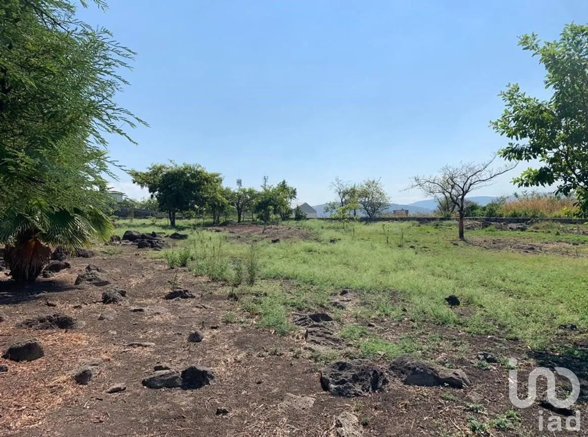 Terreno en Venta en Benito Juárez, Emiliano Zapata, Morelos | NEX-271257 | iad México | Foto 1 de 19