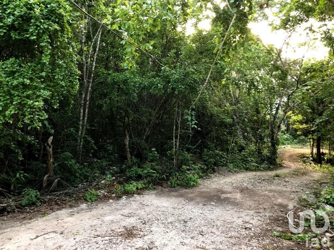 Terreno en Venta en Macario Gómez, Tulum, Quintana Roo | NEX-271258 | iad México | Foto 9 de 15