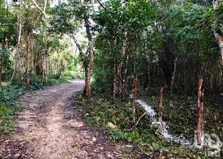 NEX-271258 - Terreno en Venta en Macario Gómez, CP 77796, Quintana Roo.