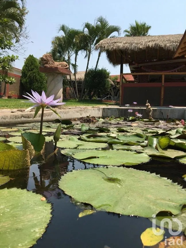 Casa en Venta en El Charco, Tetecala, Morelos | NEX-271259 | iad México | Foto 33 de 36