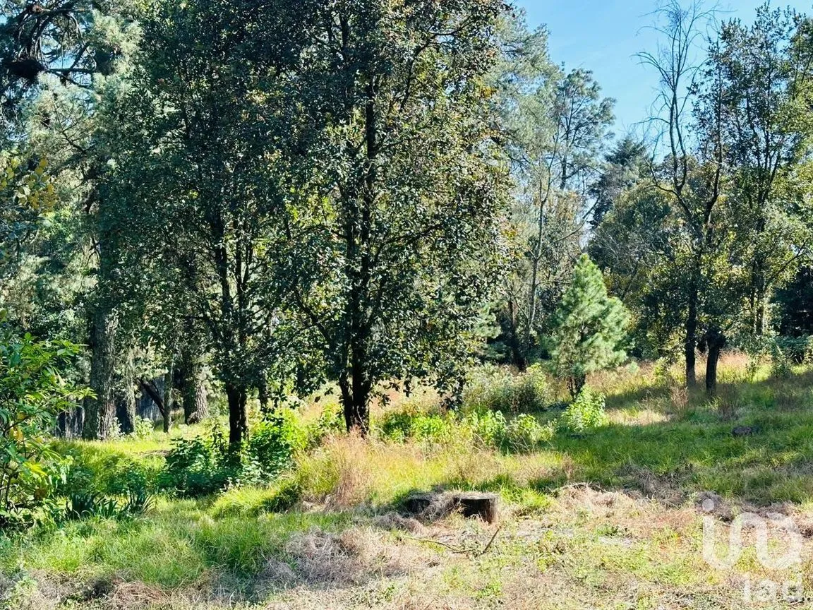 Terreno en Venta en Huitzilac, Huitzilac, Morelos | NEX-271263 | iad México | Foto 2 de 4