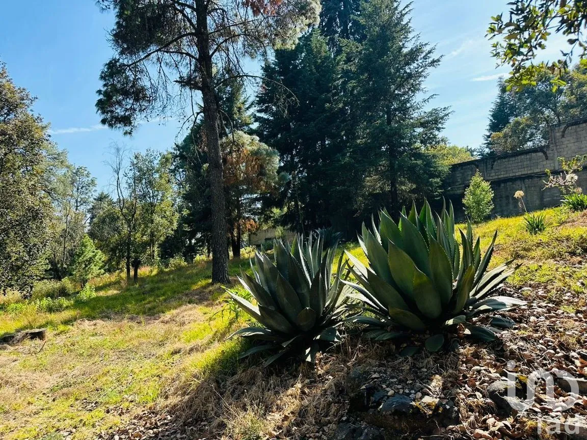 Terreno en Venta en Huitzilac, Huitzilac, Morelos | NEX-271263 | iad México | Foto 4 de 4