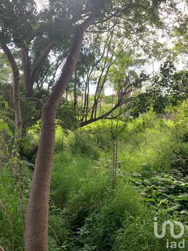 Terreno en Venta en Lomas de Atzingo, Cuernavaca, Morelos | NEX-271834 | iad México | Foto 3 de 5