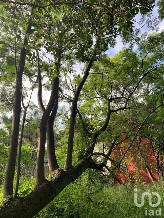 Terreno en Venta en Lomas de Atzingo, Cuernavaca, Morelos | NEX-271834 | iad México | Foto 4 de 5