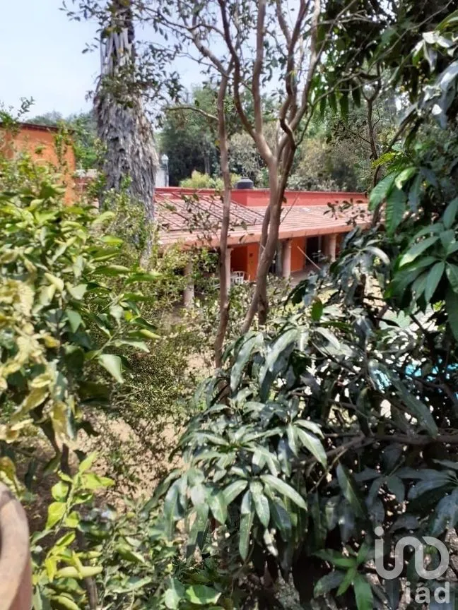 Casa en Renta en Rancho Cortes, Cuernavaca, Morelos | NEX-274605 | iad México | Foto 7 de 32