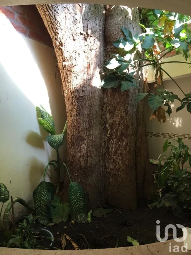 Terreno en Venta en Tetecala, Tetecala, Morelos | NEX-274660 | iad México | Foto 5 de 14