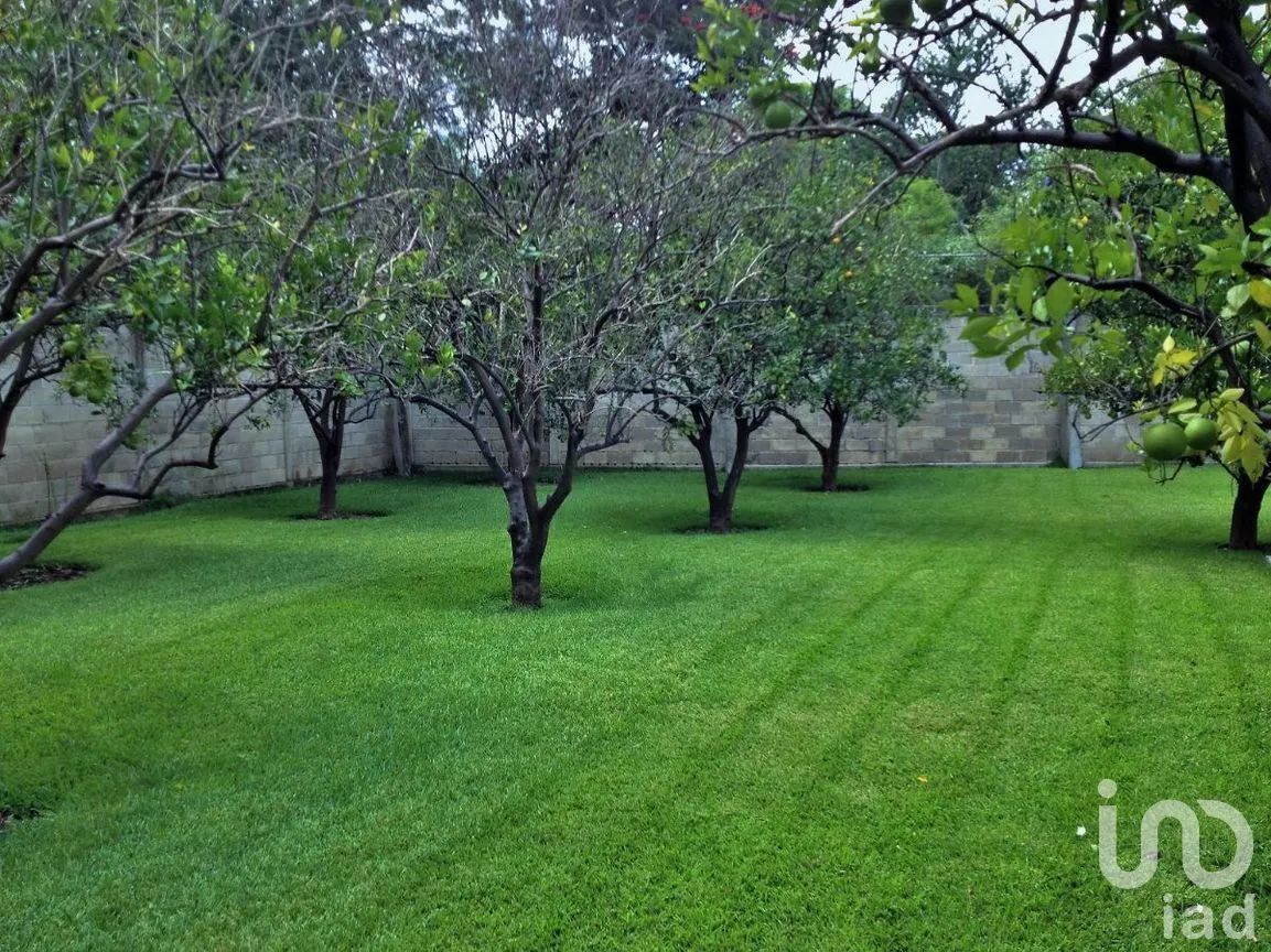 Casa en Venta en Centro, Yautepec, Morelos | NEX-275214 | iad México | Foto 14 de 39