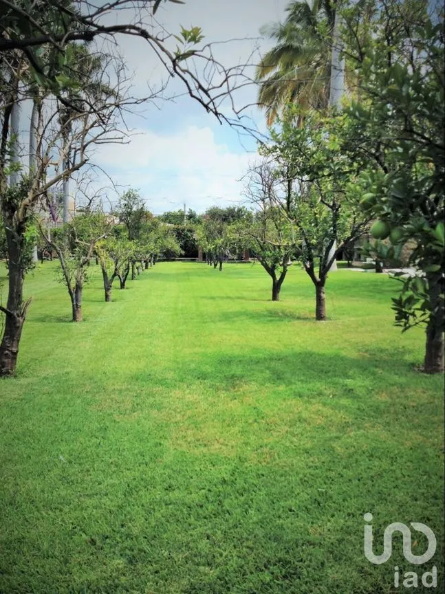 Casa en Venta en Centro, Yautepec, Morelos | NEX-275214 | iad México | Foto 21 de 39