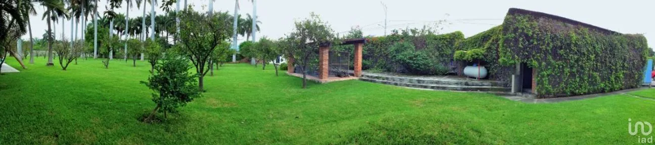 Casa en Venta en Centro, Yautepec, Morelos | NEX-275214 | iad México | Foto 4 de 39
