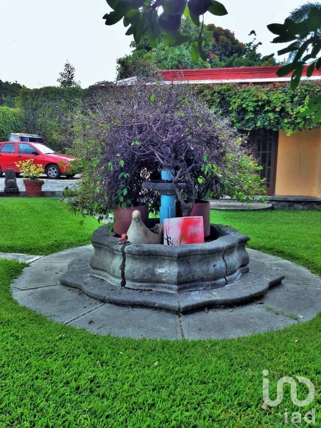 Casa en Renta en Centro, Yautepec, Morelos | NEX-275215 | iad México | Foto 7 de 39