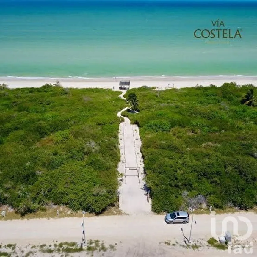 Terreno en Venta en Sisal, Hunucmá, Yucatán | NEX-226680 | iad México | Foto 6 de 7
