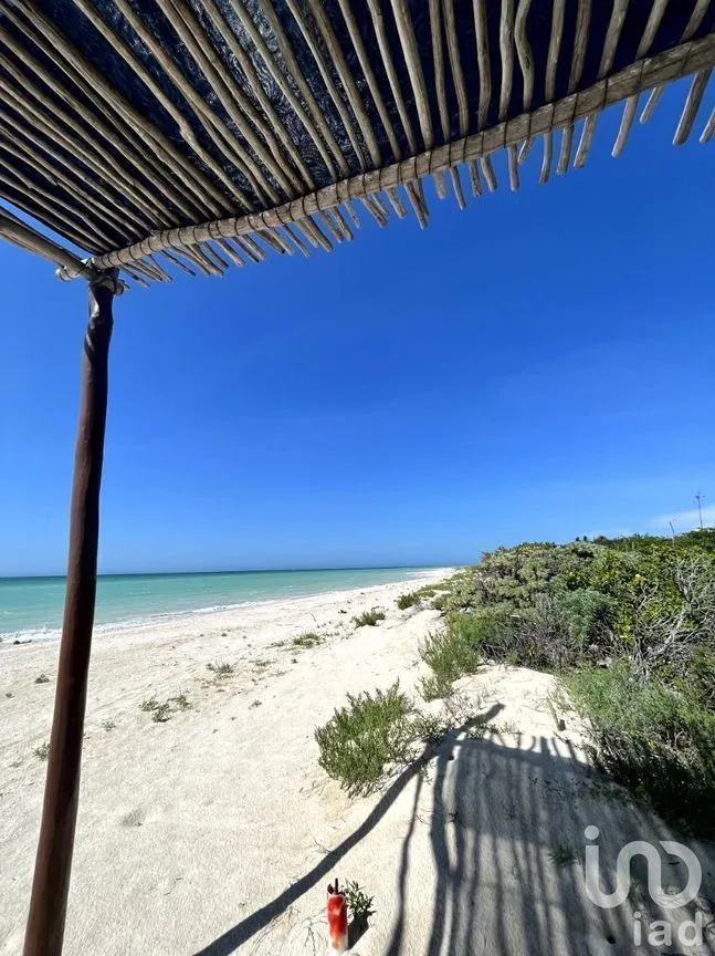 Terreno en Venta en Sisal, Hunucmá, Yucatán | NEX-226680 | iad México | Foto 7 de 7