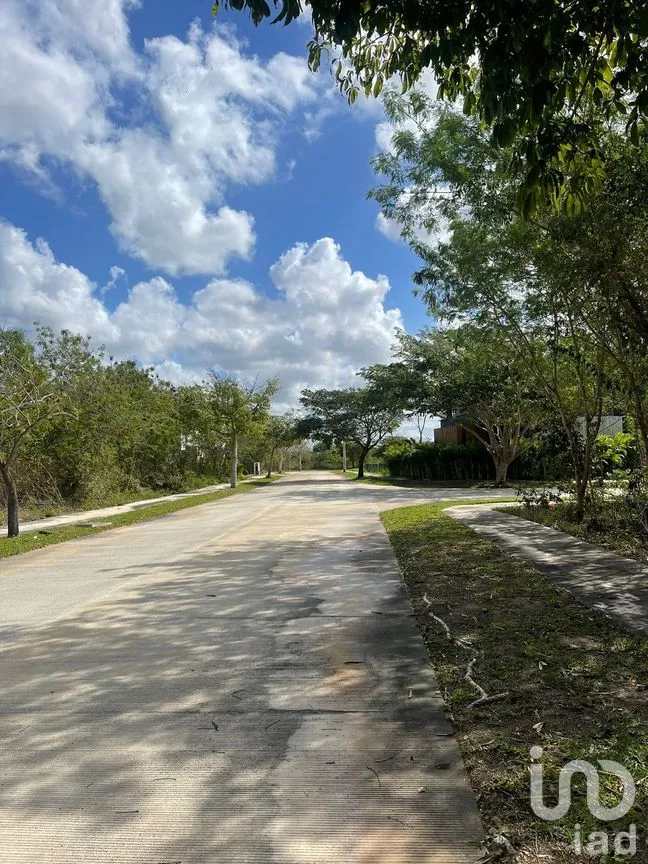 Terreno en Venta en Cabo Norte, Mérida, Yucatán | NEX-226860 | iad México | Foto 3 de 7