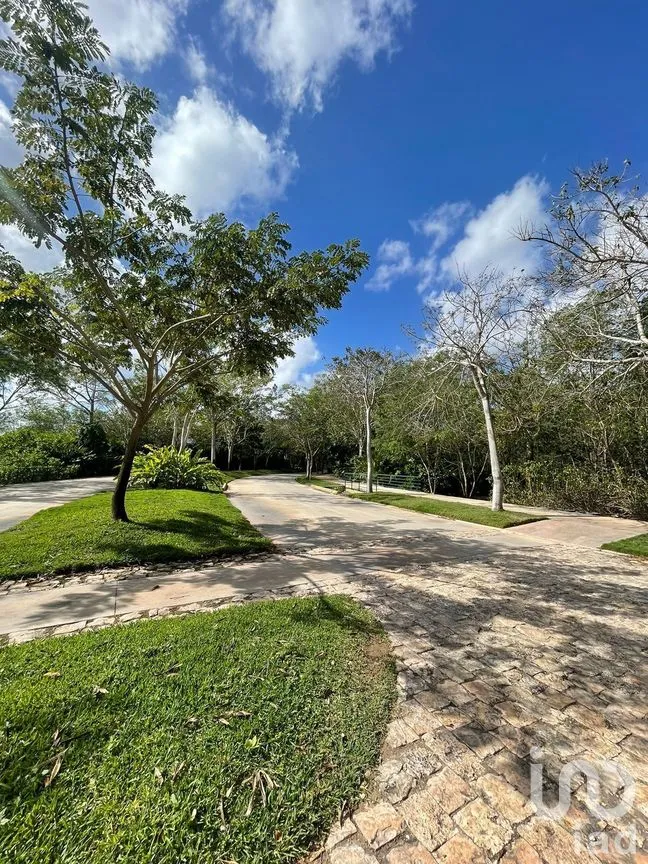 Terreno en Venta en Cabo Norte, Mérida, Yucatán | NEX-226860 | iad México | Foto 5 de 7