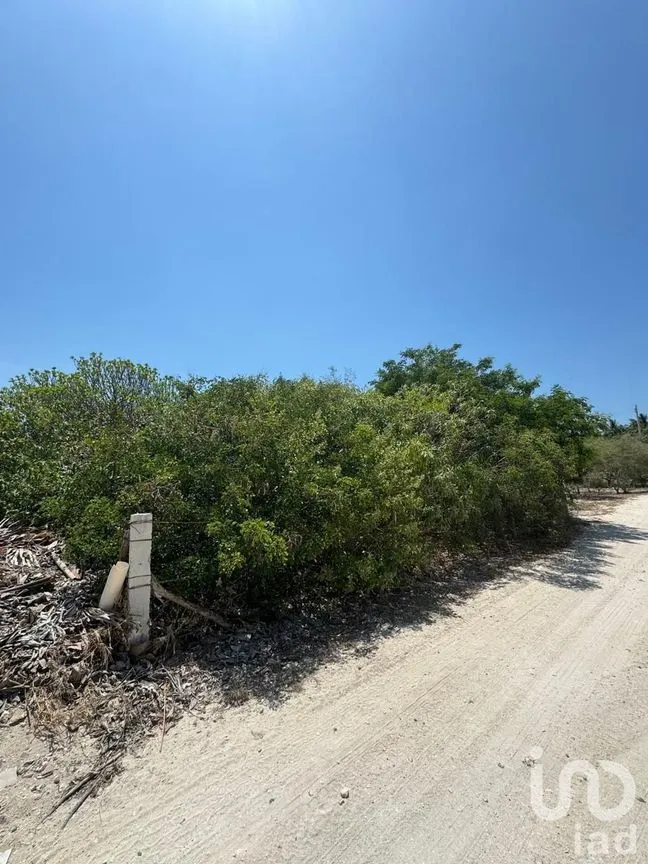 Terreno en Venta en Chicxulub Puerto, Progreso, Yucatán | NEX-226862 | iad México | Foto 5 de 10