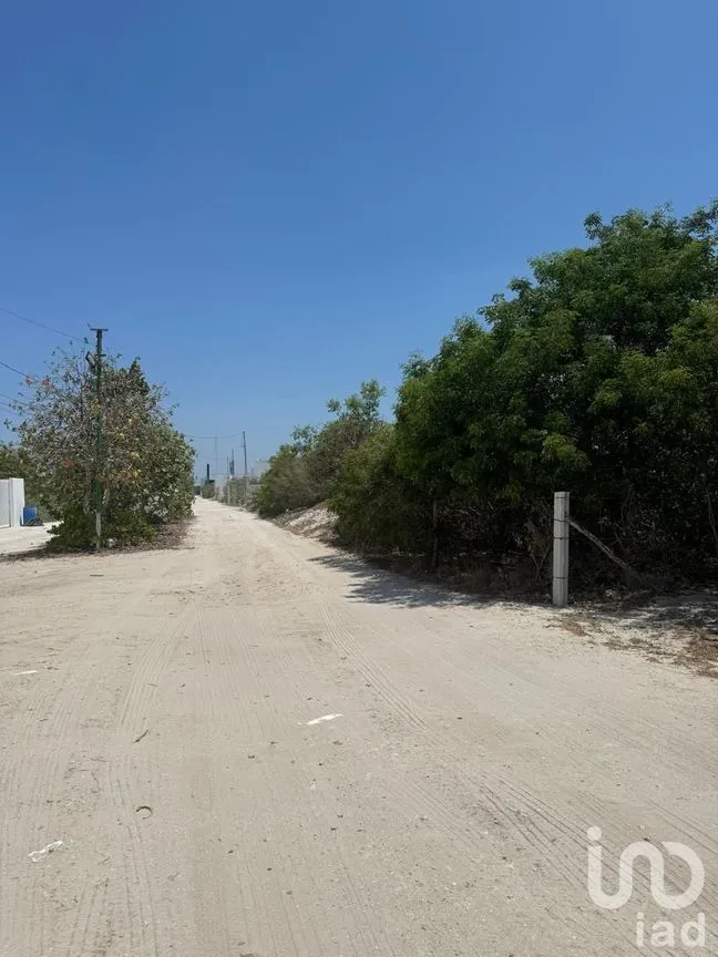 Terreno en Venta en Chicxulub Puerto, Progreso, Yucatán | NEX-226862 | iad México | Foto 7 de 10