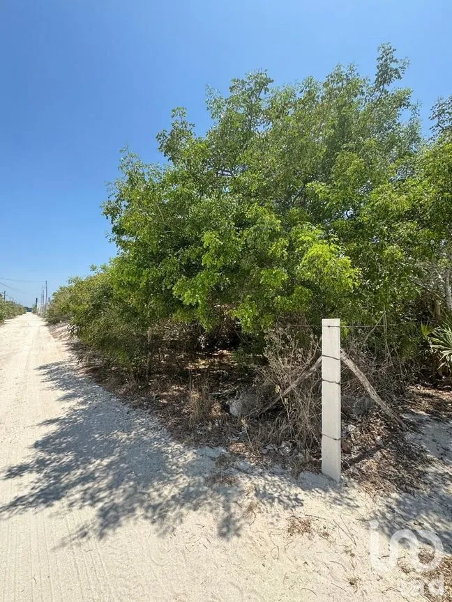 Terreno en Venta en Chicxulub Puerto, Progreso, Yucatán | NEX-226862 | iad México | Foto 8 de 10