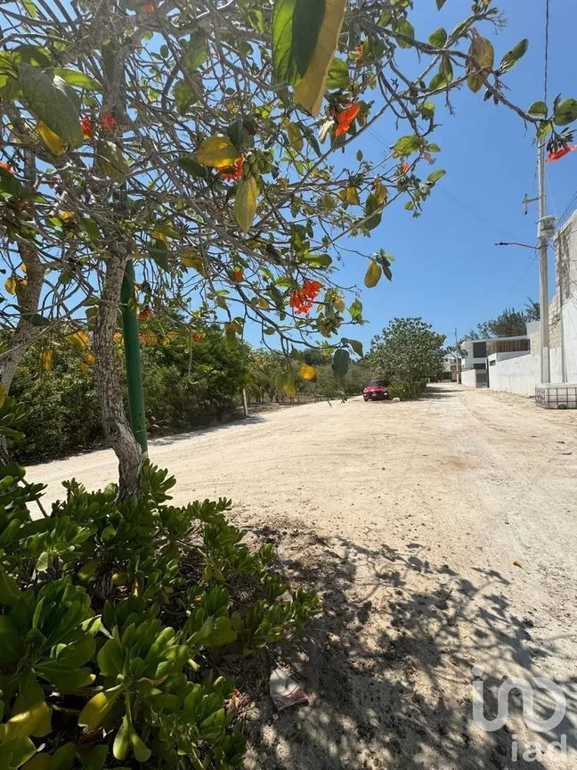 Terreno en Venta en Chicxulub Puerto, Progreso, Yucatán | NEX-226862 | iad México | Foto 9 de 10