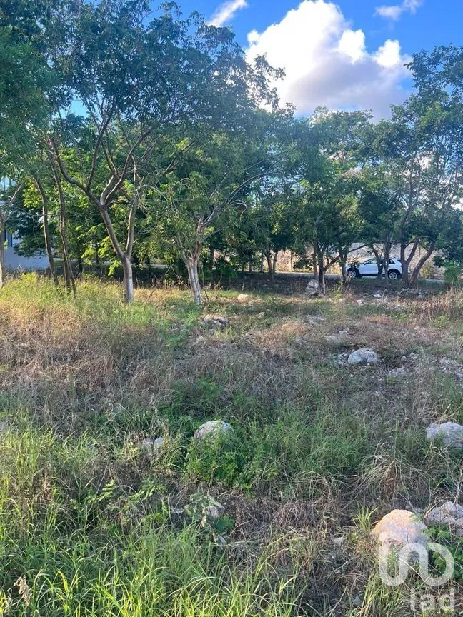 Terreno en Venta en Cabo Norte, Mérida, Yucatán | NEX-226864 | iad México | Foto 3 de 5