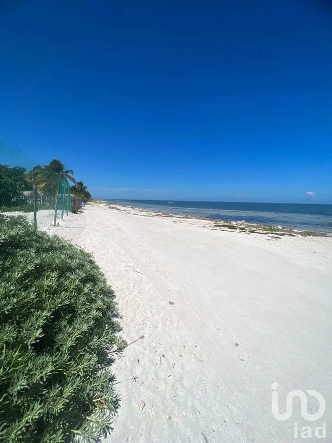 Terreno en Venta en San Crisanto, Sinanché, Yucatán | NEX-226865 | iad México | Foto 2 de 8