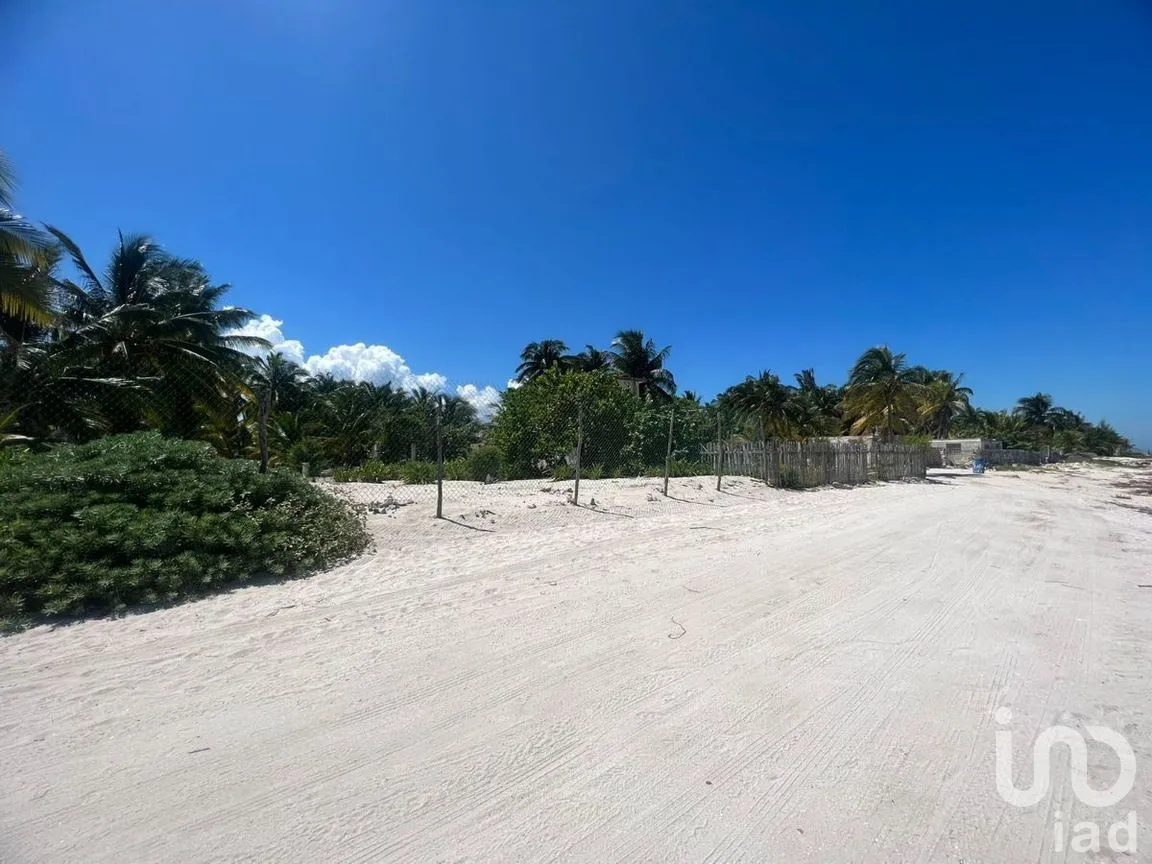 Terreno en Venta en San Crisanto, Sinanché, Yucatán | NEX-226865 | iad México | Foto 3 de 8