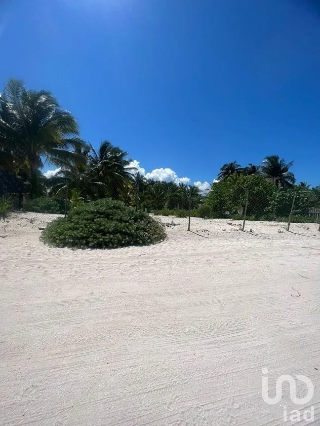 Terreno en Venta en San Crisanto, Sinanché, Yucatán | NEX-226865 | iad México | Foto 4 de 8