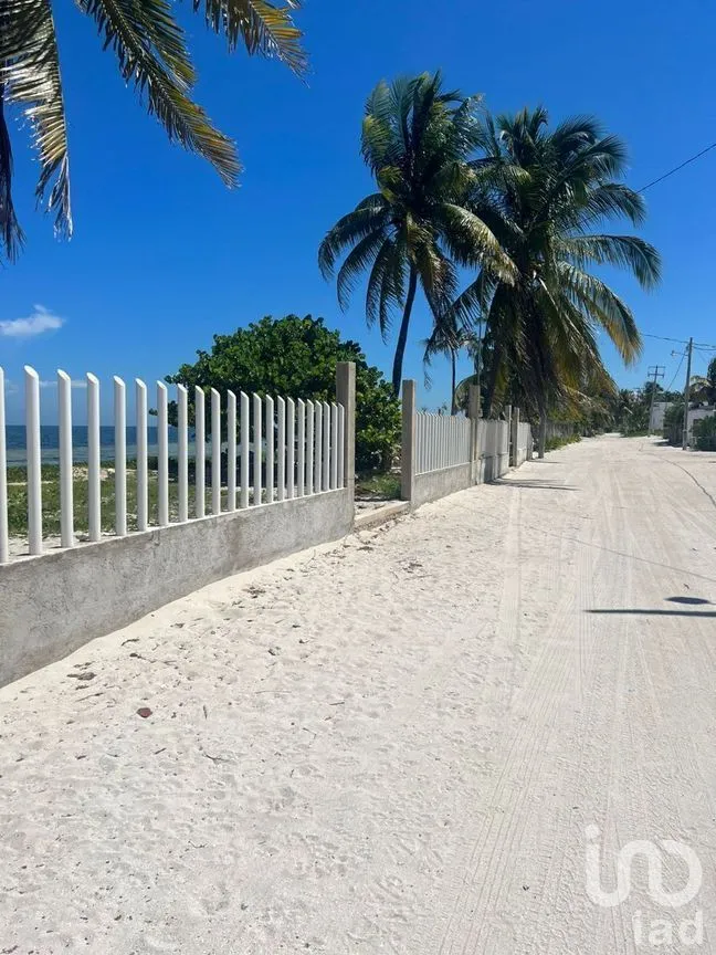 Terreno en Venta en San Crisanto, Sinanché, Yucatán | NEX-226865 | iad México | Foto 6 de 8