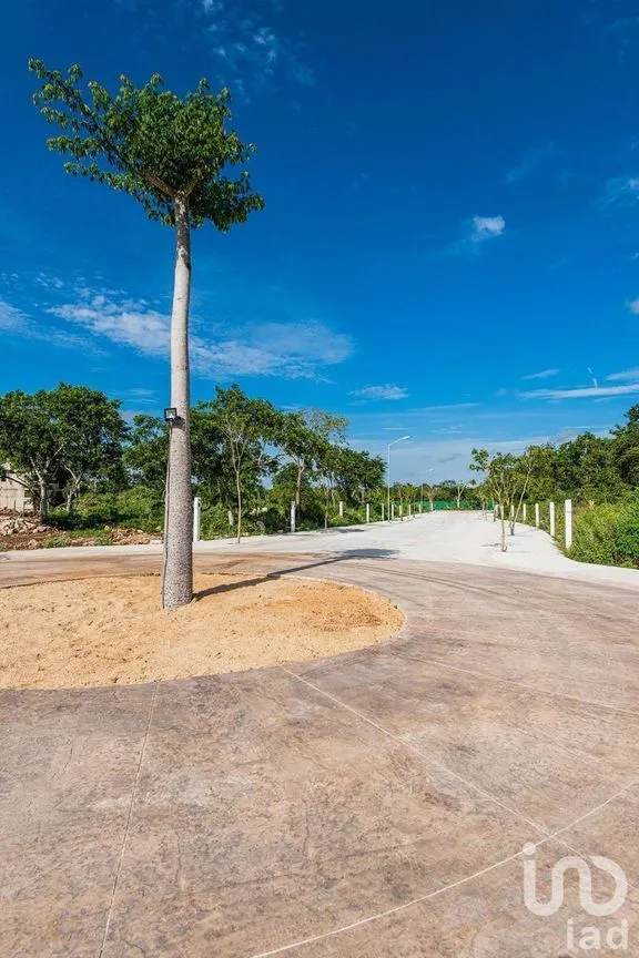Terreno en Venta en Conkal, Conkal, Yucatán | NEX-229849 | iad México | Foto 4 de 15