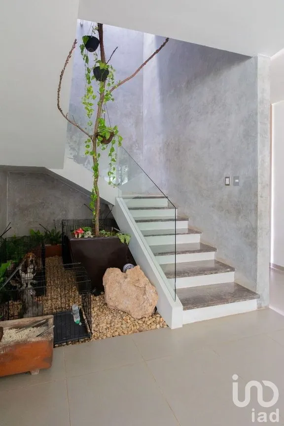 Casa en Venta en Santa Gertrudis Copo, Mérida, Yucatán | NEX-230232 | iad México | Foto 2 de 35