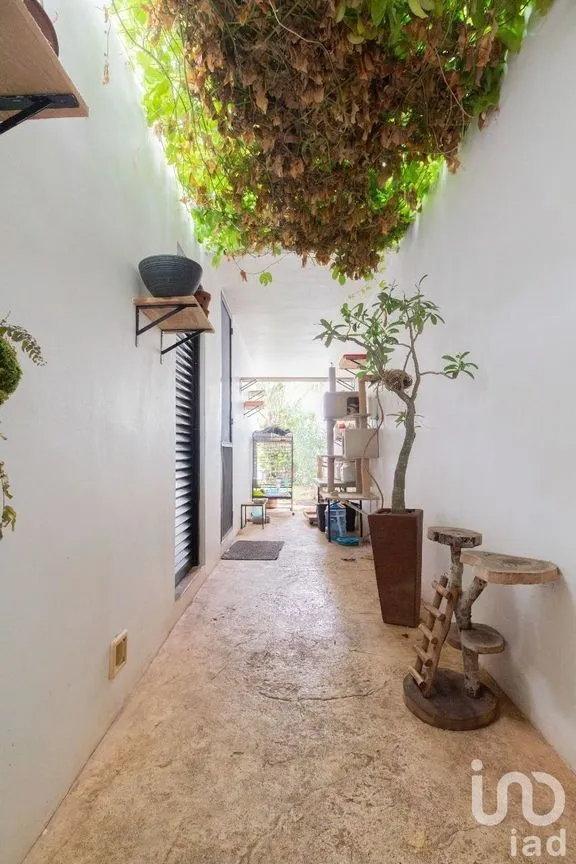 Casa en Venta en Santa Gertrudis Copo, Mérida, Yucatán | NEX-230232 | iad México | Foto 16 de 35