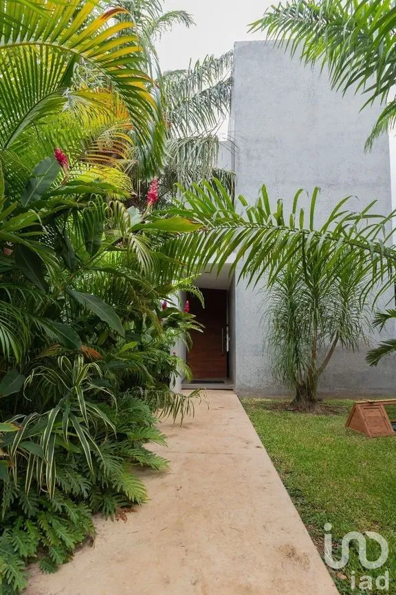 Casa en Venta en Santa Gertrudis Copo, Mérida, Yucatán | NEX-230232 | iad México | Foto 29 de 35